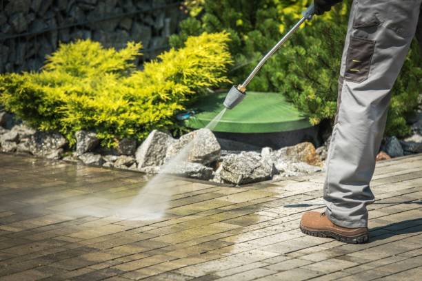 Best Dumpster Area Cleaning  in Paonia, CO